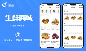 3 电商城成品安卓苹果IOS应用APP定制java界面开发设计