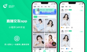 01 直播交友小程序开发案例