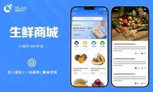 1 慧族软件:生鲜商城小程序开发案例