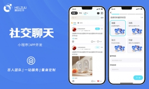 1 慧族软件:社交聊天小程序开发案例